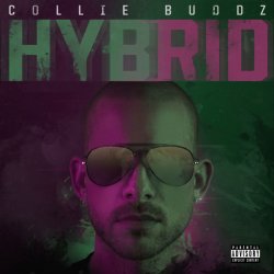 Portada Hybrid - Break My Soul