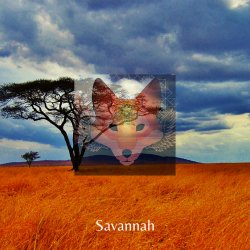Portada Savannah - Day After Day & Night