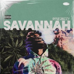 Portada Savannah - Fight Your Way