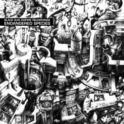 Portada Black Sun Empire - Stranger