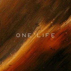 Portada Vibessmusic - One Life (slowed by kirman)