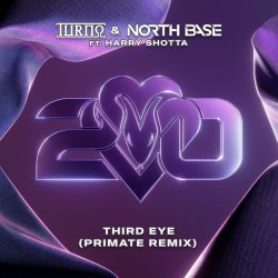 Portada Turno - Third Eye