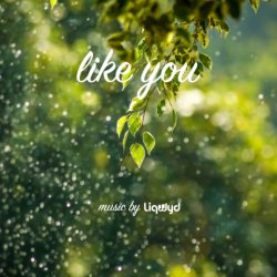 Portada LiQWYD - Like You