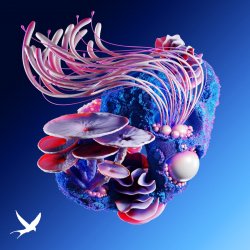 Portada Korolova & MotherEarth feat. Tyoz - Nightshapes