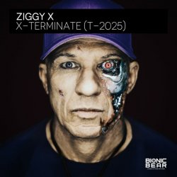 Portada Ziggy X - Connexion