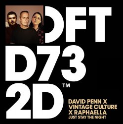 Portada David Penn & Raphaella & Vintage Culture - Just Stay The Night