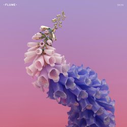 Portada Flume feat. Vic Mensa - Lose It