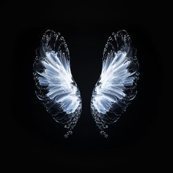 Portada Whales - Believe