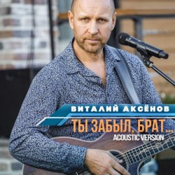 Portada Виталий Аксенов - Ты забыл брат