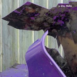 Portada U-Ziq - Mushroom Compost