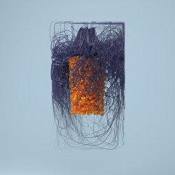 Portada Plaid - Cwtchr