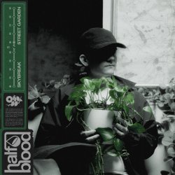 Portada Skybreak - STREET GARDEN