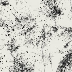 Portada Taylor Deupree - Everything's Gone Grey