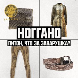 Portada Ноггано - Питон, что за заварушка