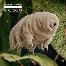 Portada Noize MC - Катацумури