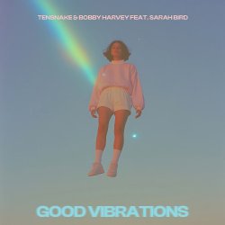 Portada Tensnake & Bobby Harvey & Sarah Bird - Good Vibrations