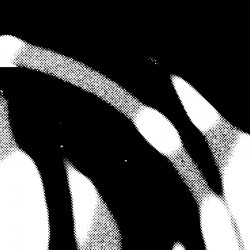 Portada Cardopusher - Imaginary Analysis