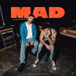 Portada Martin Garrix & Lauv - MAD