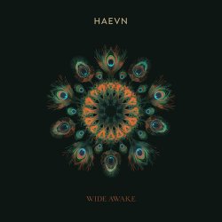 Portada HAEVN & Lily Meola - Till the Morning