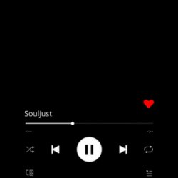 Portada Souljust - Не віддам