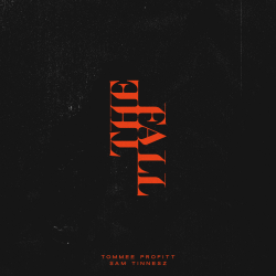 Portada Tommee Profitt & Sam Tinnesz - Daylight