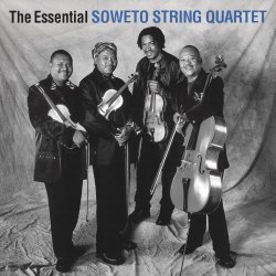Portada The String Quartet - Paint in black