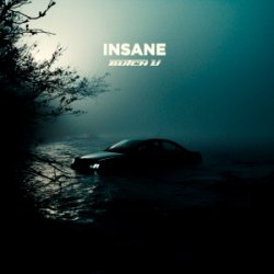 Portada Butch U - Insane