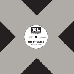 Portada The Prodigy - Everybody In The Place (Original Mix)