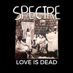 Portada Spectre - Hedgamez