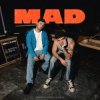 Martin Garrix & Lauv - MAD (Dj Vianu Remix)