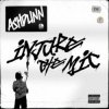 Portada Ashdunn - Injure The Mic Ashdunn - Injure The Mic