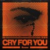 Portada Ilyaa - Cry for You Ilyaa - Cry for You