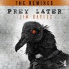 Portada Jim Davies - Prey Later (Dex Remix) Jim Davies - Prey Later (Dex Remix)