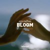 Portada Astrality & FLORES - Bloom Astrality & FLORES - Bloom