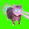 Portada XertXetin - OIIA OIIA COSMIC Spinning CAT XertXetin - OIIA OIIA COSMIC Spinning CAT