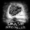 Portada Smash Into Pieces - Rockstar Smash Into Pieces - Rockstar