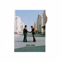 Portada Pink Floyd - Shine On You Crazy Diamond (Part 6-9)