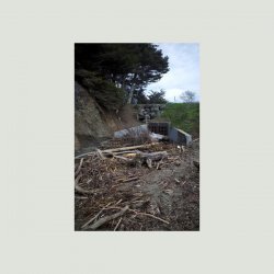 Portada Mac DeMarco - Rockaway