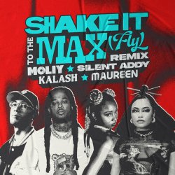 Portada MOLIY & Silent Addy - Shake It To The Max (FLY) [Kalash & Maureen Remix]