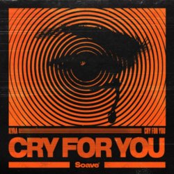 Portada Ilyaa - Cry for You