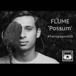 Portada Flume - Possum