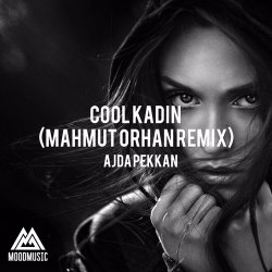 Portada Ajda Pekkan - Cool Kadın (Mahmut Orhan Remix)