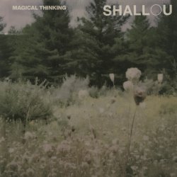 Portada Shallou - Forget