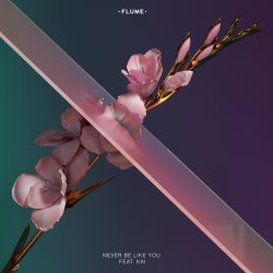Portada Flume - Never Be Like You (Feat. Kai)