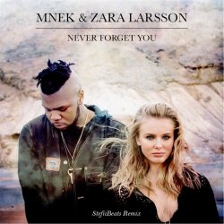 Portada Mnek vs. Zara Larsson - Never Forget You (Stefiibeats Remix)