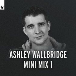 Portada Ashley Wallbridge - Mumbai Traffic (Armin van Buuren's Edit)
