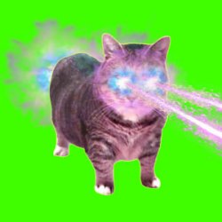 Portada XertXetin - OIIA OIIA COSMIC CAT (Slowed)