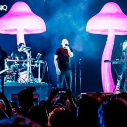 Portada Infected Mushroom - Mixed by G Light live mix from Exotica Gold