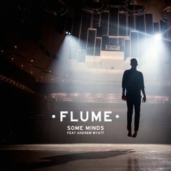 Portada Flume - Some Minds (Feat. Andrew Wyatt)