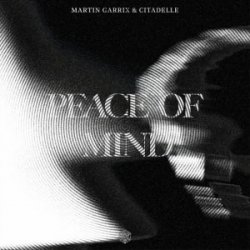Portada Martin Garrix & Citadelle - Peace Of Mind